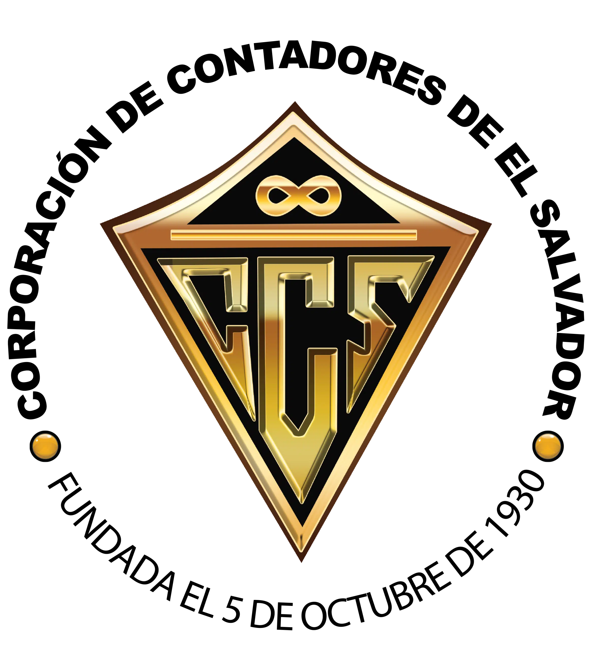 logo negro cces.webp